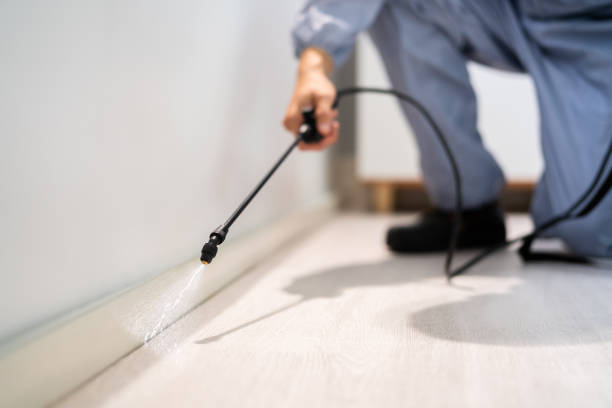 Licensed Termite Control service in Starbuck, MN - Nex Pest Control