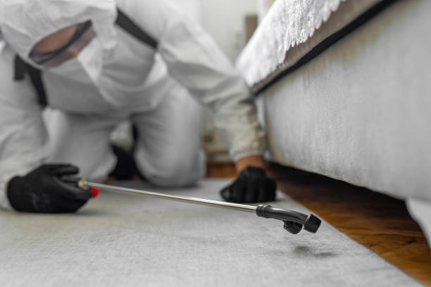 Professional Termite Control technician working in Starbuck, MN