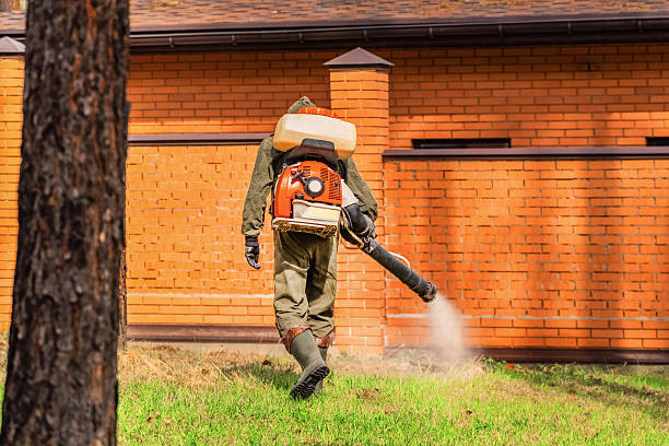 Top rated local Termite Control specialists in Starbuck, MN